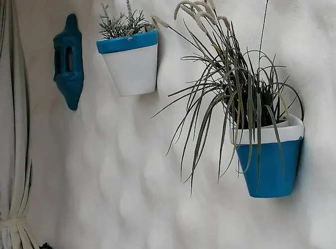 Fisherman S Cove Lejlighed *