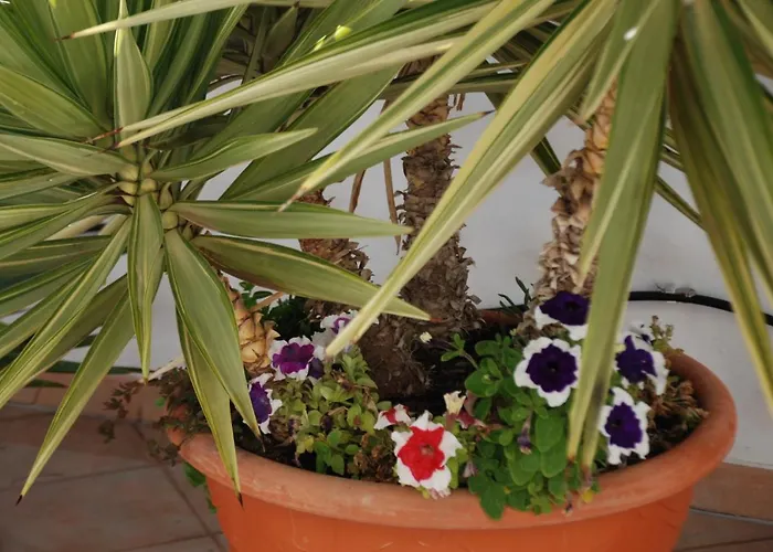 Fisherman S Cove Appartamento *