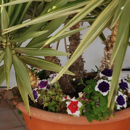 Fisherman S Cove Apartment *